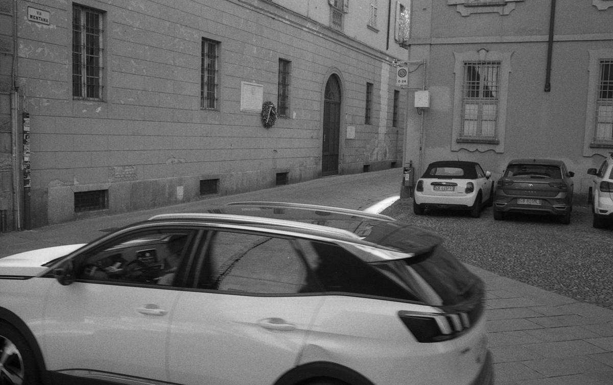Pavie